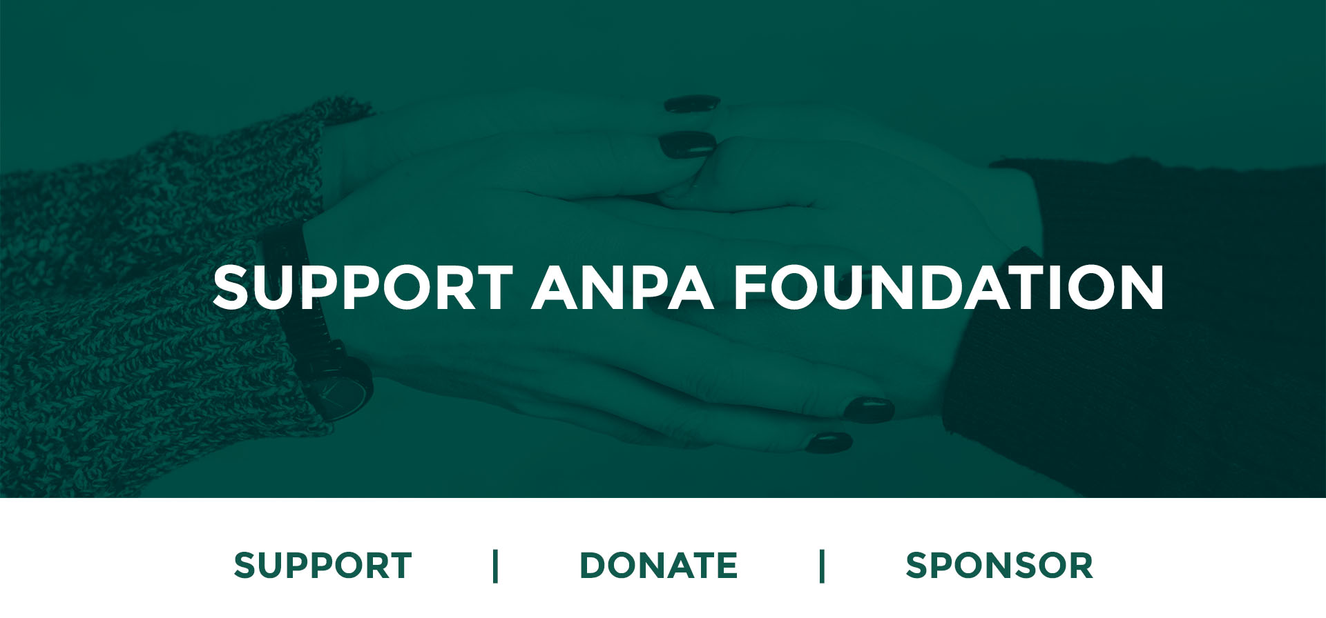 Anpa Foundation Association Of Nigerian Physicians In The Americas Anpa